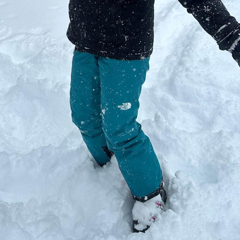 The North Face girls EZ Grow Dryvent ski pants. Size 12